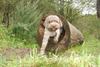 2009-10-03_ntb_9323