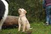 2009-10-03_ntb_9330
