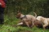 2009-10-03_ntb_9331