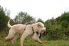 2009-10-03_ntb_9334