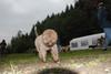 2009-10-03_ntb_9335