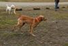 2009-10-03_ntb_9336