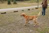 2009-10-03_ntb_9337
