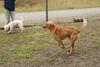 2009-10-03_ntb_9338