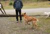2009-10-03_ntb_9339