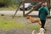 2009-10-03_ntb_9340