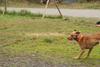 2009-10-03_ntb_9341