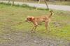 2009-10-03_ntb_9342