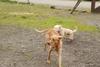 2009-10-03_ntb_9343