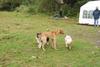 2009-10-03_ntb_9344