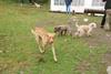 2009-10-03_ntb_9345