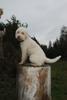 2009-10-03_ntb_9346