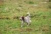 2009-10-03_ntb_9347
