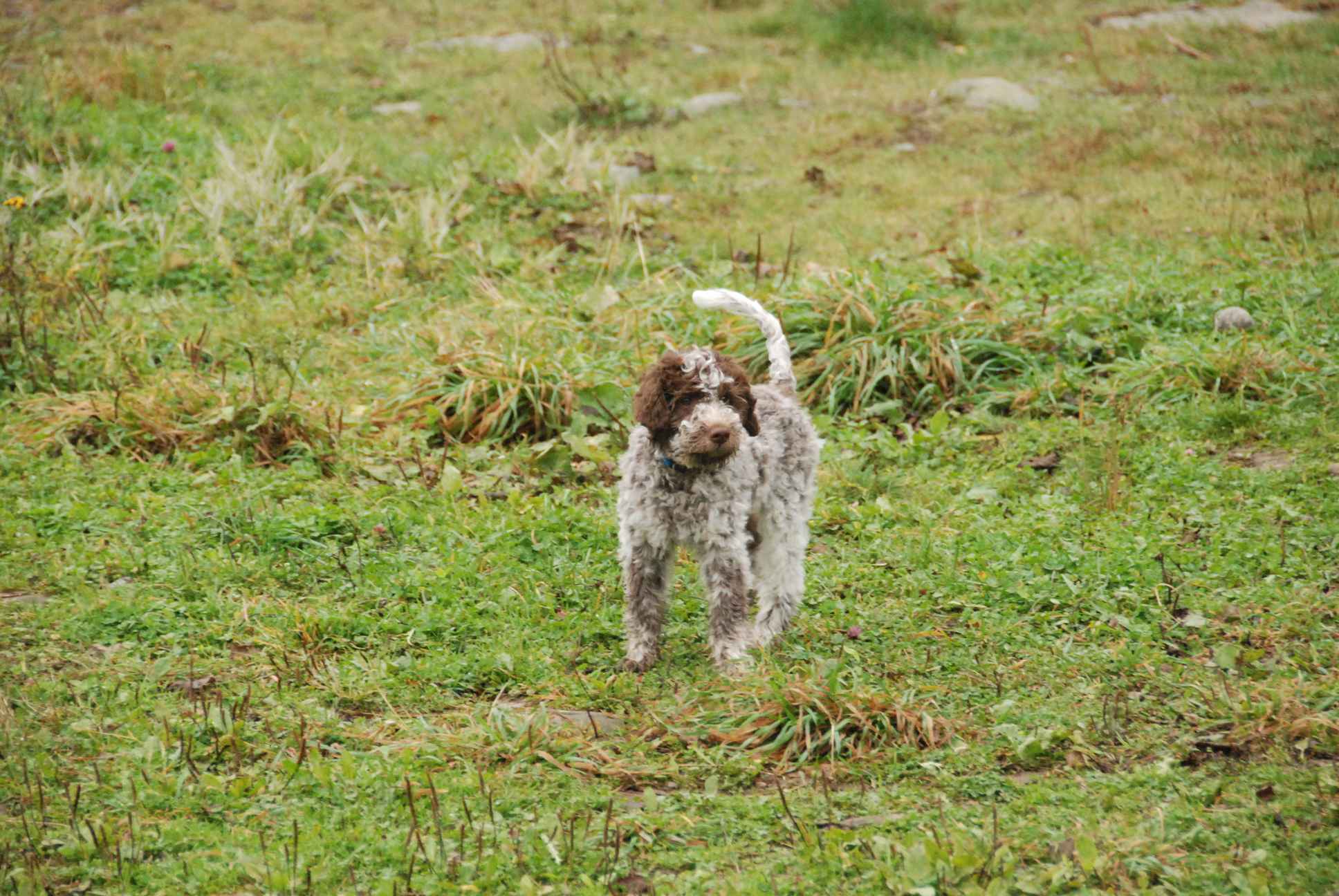 2009-10-03_ntb_9348