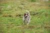 2009-10-03_ntb_9348