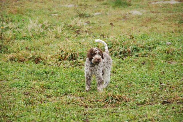 2009-10-03_ntb_9348