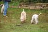 2009-10-03_ntb_9351