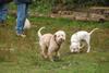 2009-10-03_ntb_9352