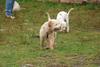 2009-10-03_ntb_9353