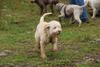 2009-10-03_ntb_9354