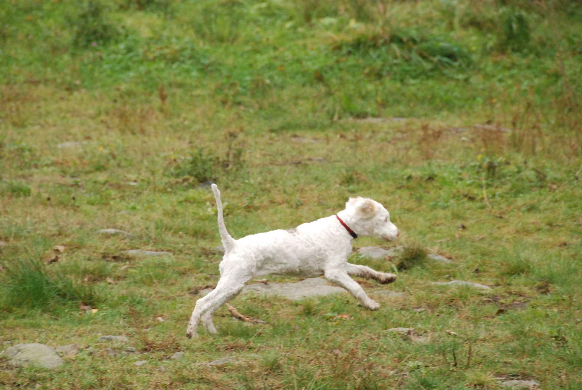 2009-10-03_ntb_9355