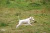 2009-10-03_ntb_9355
