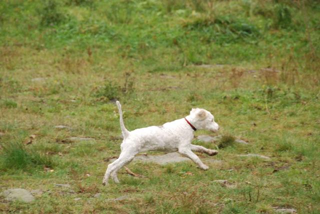 2009-10-03_ntb_9355