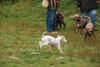 2009-10-03_ntb_9356