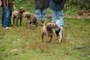 2009-10-03_ntb_9357