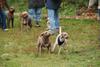2009-10-03_ntb_9358