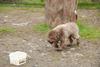 2009-10-03_ntb_9360