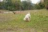 2009-10-03_ntb_9361