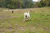 2009-10-03_ntb_9362