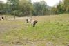 2009-10-03_ntb_9365