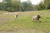 2009-10-03_ntb_9366
