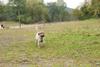 2009-10-03_ntb_9367