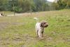 2009-10-03_ntb_9368