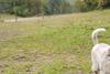 2009-10-03_ntb_9369