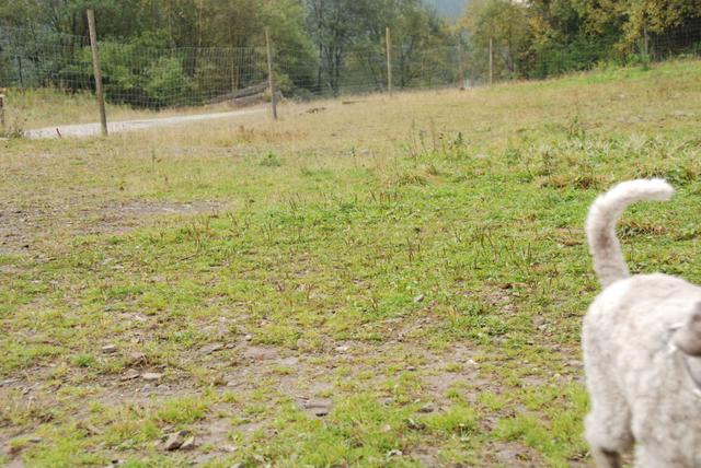 2009-10-03_ntb_9369