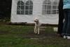 2009-10-03_ntb_9370