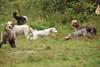 2009-10-03_ntb_9372