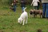 2009-10-03_ntb_9374
