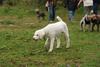 2009-10-03_ntb_9375