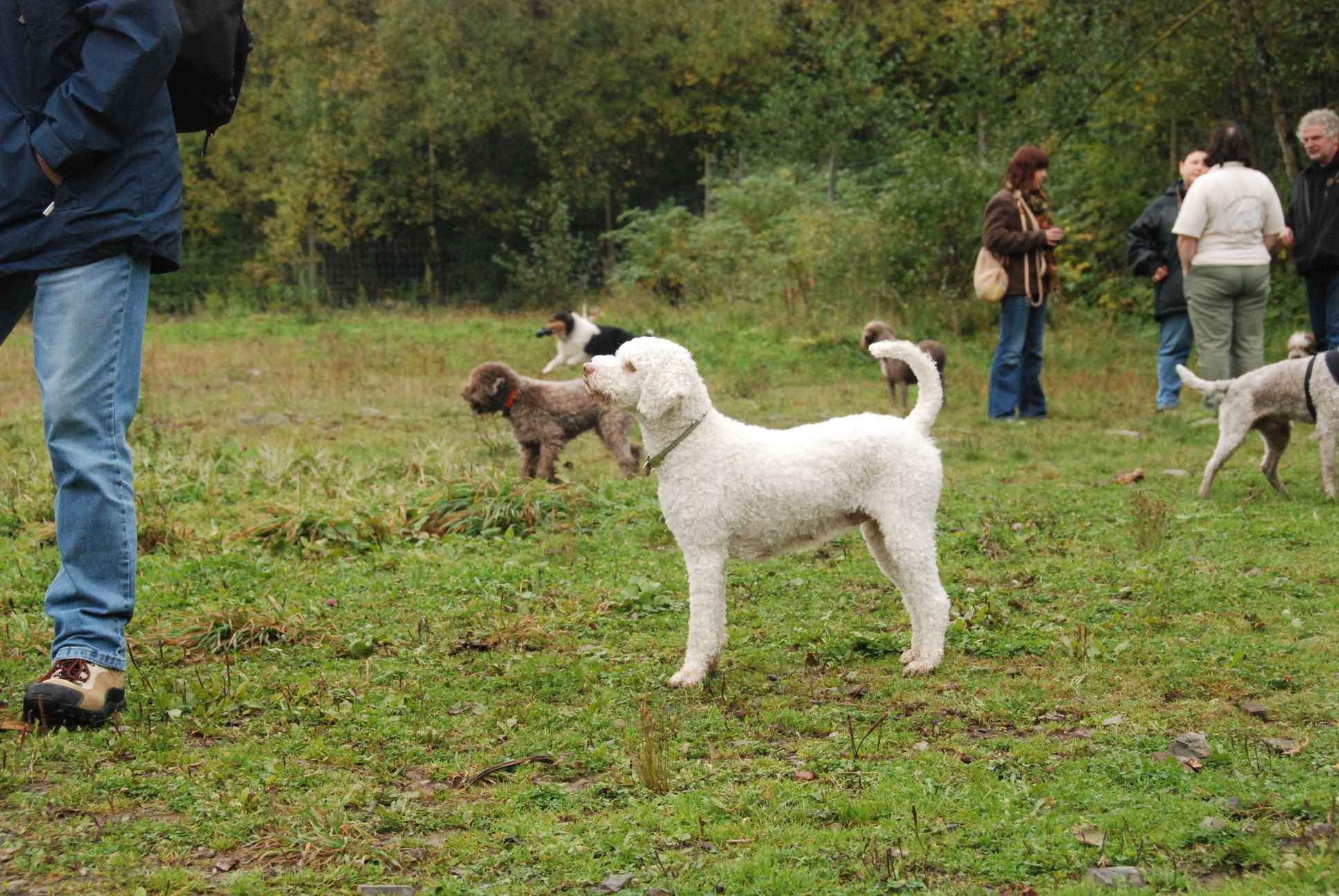 2009-10-03_ntb_9377