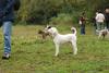 2009-10-03_ntb_9377