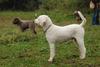 2009-10-03_ntb_9378