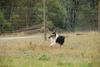 2009-10-03_ntb_9379
