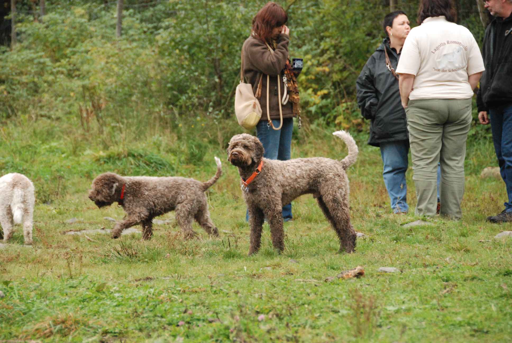 2009-10-03_ntb_9380