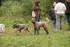 2009-10-03_ntb_9380