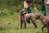 2009-10-03_ntb_9381